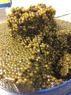 Caviar Mercado Libre