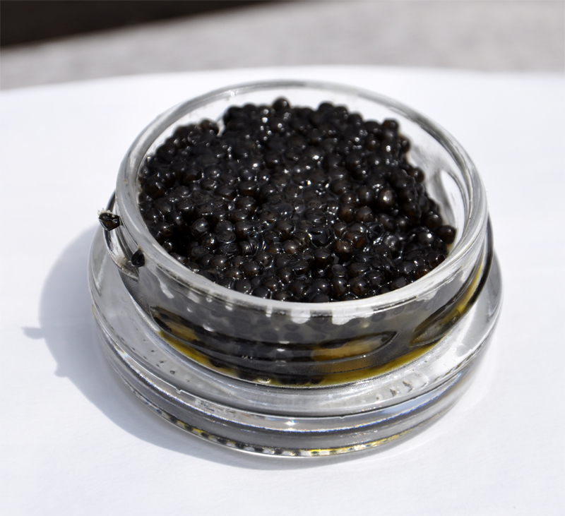 Caviar de Amazon