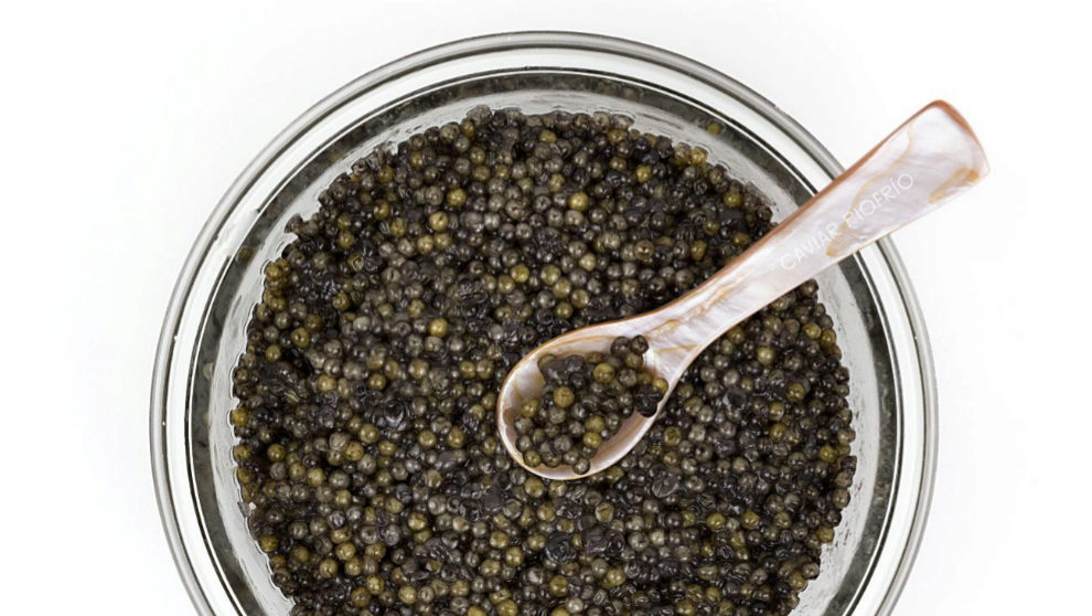 Caviar de Rio Frio