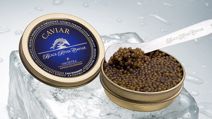 Caviar Uruguayo Black River