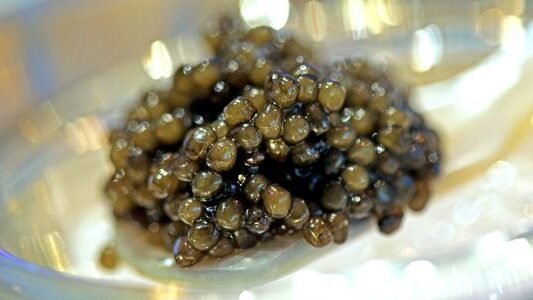 Caviar del Mar Caspio